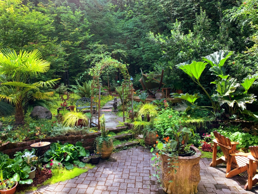 outdoor gardening